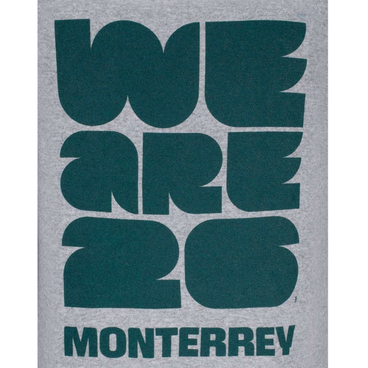 FIFA World Cup 2026™  Monterrey Grey Hoodie - Unisex