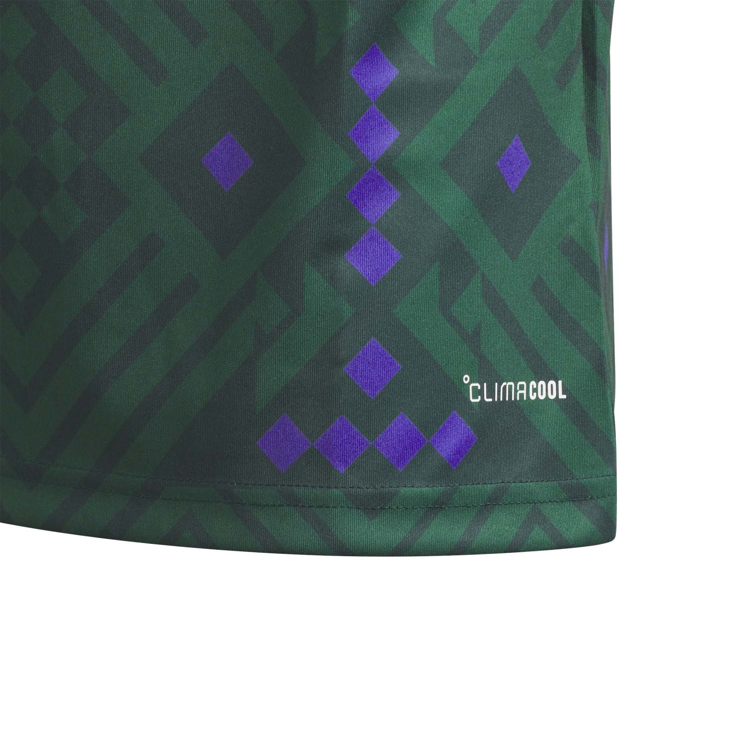 Saudi Arabia 2026™ Home Jersey - Youth