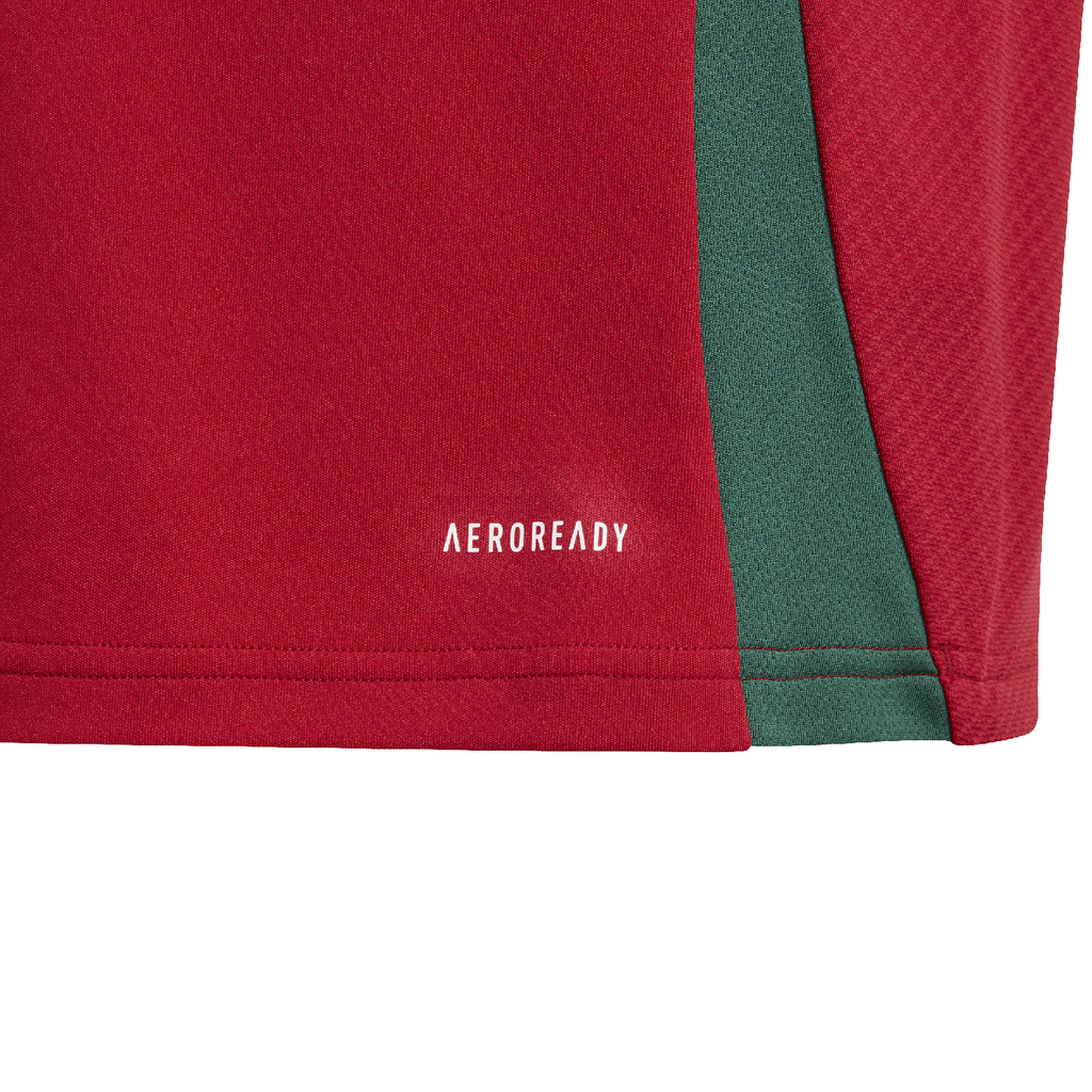 Hungary 2024™ Home Jersey - Youth
