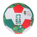 FIFA World Cup 2026™  Mexico Host Country Football