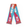 FIFA World Cup 2026™  Host City Los Angeles Scarf