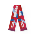 FIFA World Cup 2026™  Host City Philadelphia Scarf