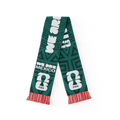 FIFA World Cup 2026™  'We Are' Mexico Scarf