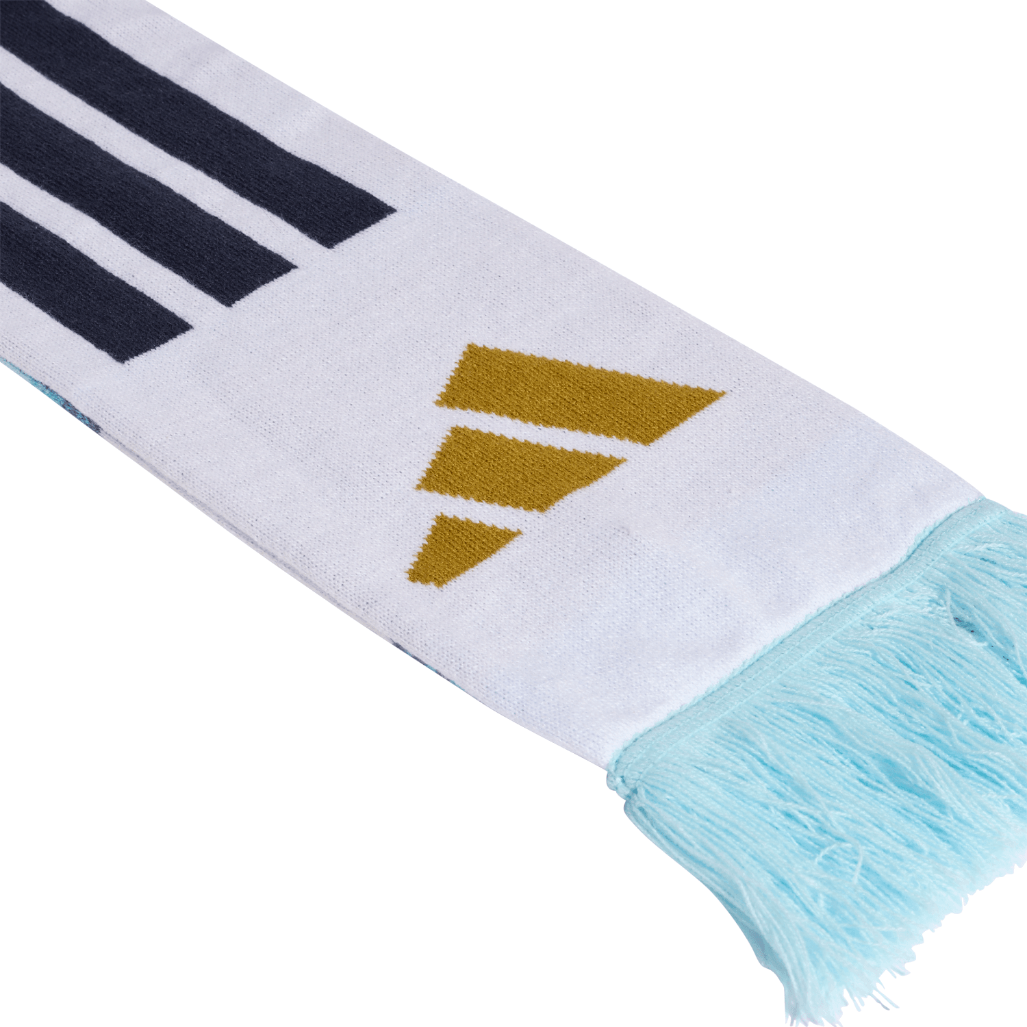 FIFA World Cup 2026™  Argentina Federation Scarf