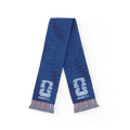 FIFA World Cup 2026™  Host Country USA Scarf